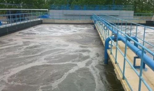 食品廠污水處理設備及處理流程詳解